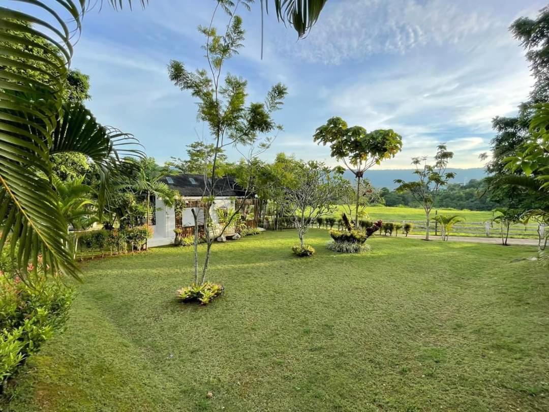 Dhanhill Bed&Cafe Ban Bu Khanun Phòng bức ảnh